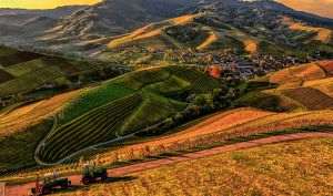 Digital agriculture is gaining ground in our country: technology becomes farmers' ally in the face of climate change